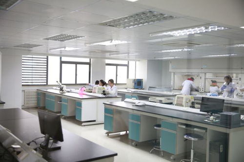 金域檢驗(yàn) 以一流技術(shù)與優(yōu)質(zhì)服務(wù)塑造新型醫(yī)療品牌的人工智能應(yīng)用軟件開(kāi)發(fā)實(shí)踐