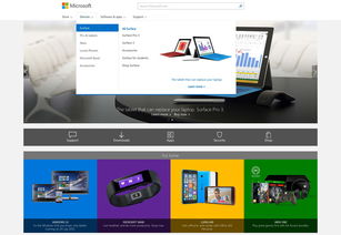 新聞 網博思創(chuàng) 北京網站設計
