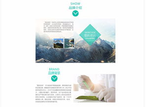 阿童木 企業(yè)網(wǎng)站 武漢網(wǎng)站建設(shè) 網(wǎng)站設(shè)計(jì) 商城開發(fā) 微信小程序開發(fā) 武漢金百瑞科技